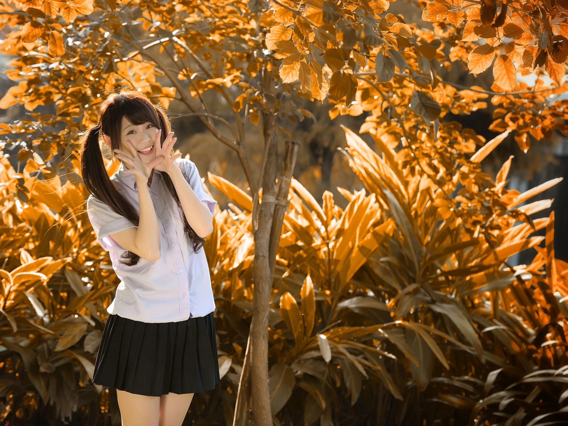 190011tp6ffpvfhaqxxp3d.webp