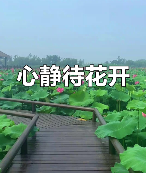 屏幕截图 2026-01-05 171230.png